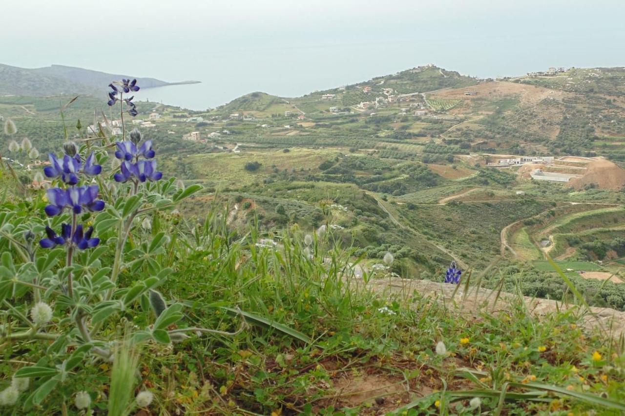 Olenia Residence Agia Pelagia  Buitenkant foto
